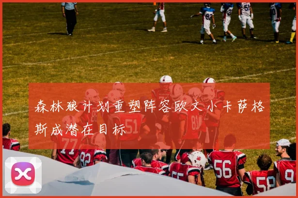 森林狼计划重塑阵容欧文小卡萨格斯成潜在目标