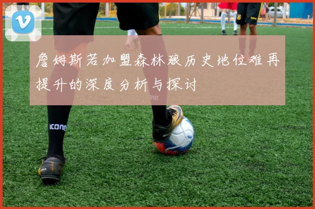詹姆斯若加盟森林狼历史地位难再提升的深度分析与探讨
